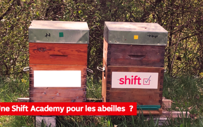 DÉCOUVREZ LA RUCHE DE SHIFT !
