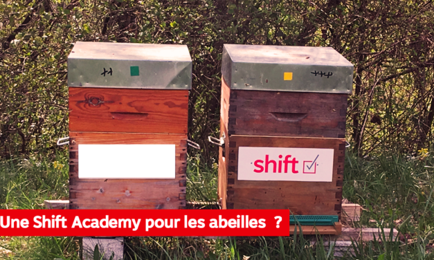 DÉCOUVREZ LA RUCHE DE SHIFT !