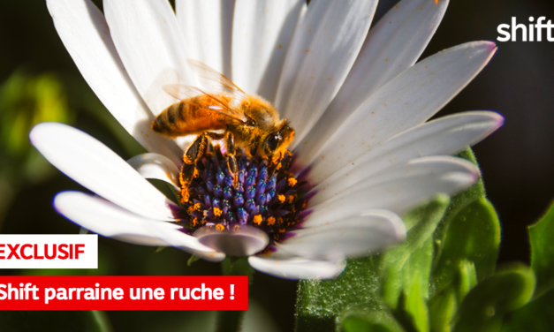 C’EST OFFICIEL, SHIFT PARRAINE SA TOUTE PREMIÈRE RUCHE