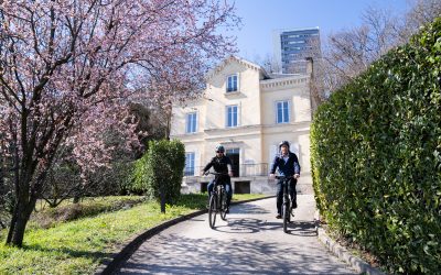 Découvrez le Rapport Annuel 2024 du Comité de Mission de Shift Consulting : 4 Ans d’Engagement, Une Dynamique Pérenne