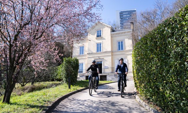 Découvrez le Rapport Annuel 2024 du Comité de Mission de Shift Consulting : 4 Ans d’Engagement, Une Dynamique Pérenne